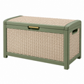 Baúl de almacenaje 80 x 45 x 50 cm de plástico trenzado verde y beige con tapa